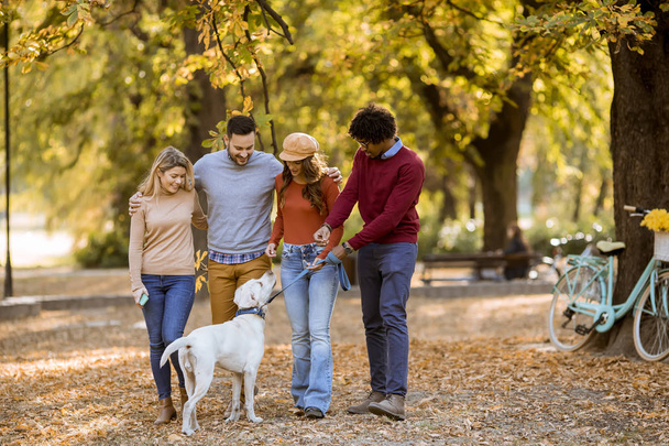 Grupa wielorasowych młodych ludzi spacerujących w jesiennym parku i bawiących się - Zdjęcie, obraz