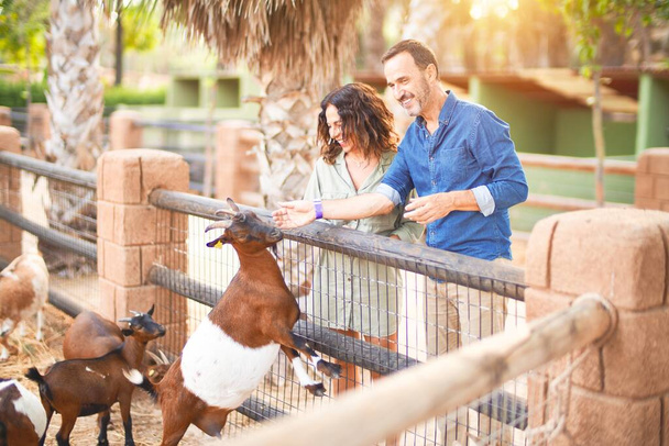 Middle age beautiful couple smiling happy and confident at town park. Standing with smile on face feeding and cuddling goats - 写真・画像