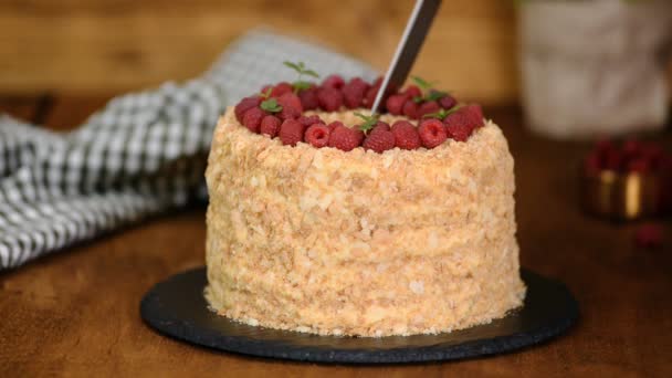 Femme coupe délicieuse pâte feuilletée maison gâteau napoléon stratifié avec crème anglaise
. - Séquence, vidéo