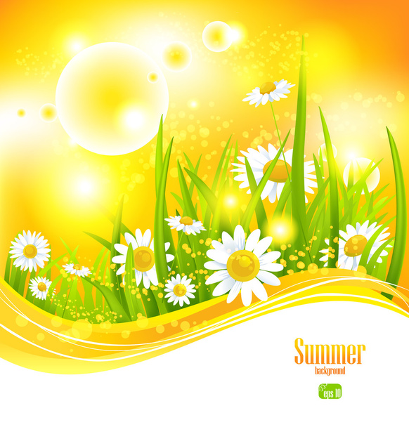 Sunny summer background - Vector, imagen