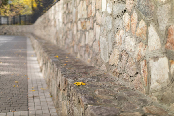 Autumn city street where there is a granite stone wall and tile sidewalk. Background image, there is a place for text. - Zdjęcie, obraz