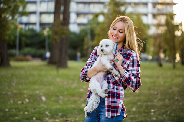 Beautiful woman combing her Maltese dog in the park. - Photo, Image