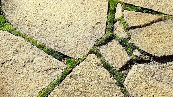 Antiguo piso de piedra salvaje con musgo verde en las costuras. Día soleado, vista desde arriba
. - Foto, Imagen
