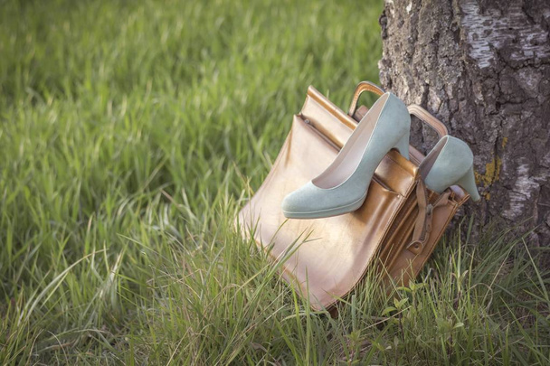 Vintage sapatos bombas no saco wayside na natureza despertar wanderlust
 - Foto, Imagem