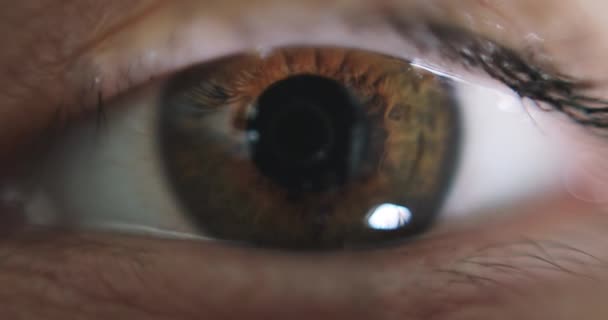 Macro shot van geopend vrouwelijk bruin oog. - Video