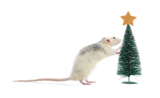 Cute little rat near decorative Christmas tree on white background. Chinese New Year symbol - Foto, afbeelding