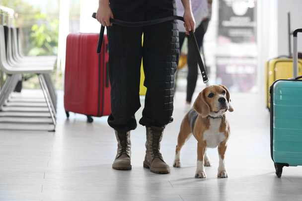 Officer with dog near suitcase in airport, closeup - Valokuva, kuva