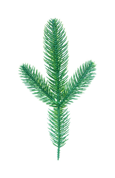 Christmas tree pine branches isolated on white background with c - Photo, Image