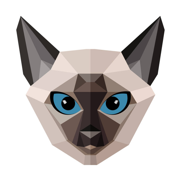 Simple Illustration of a siamese cat face over white background. - Foto, Imagem