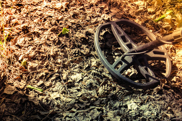 катушка металлодетектора на фоне опавших листьев в
 - Фото, изображение