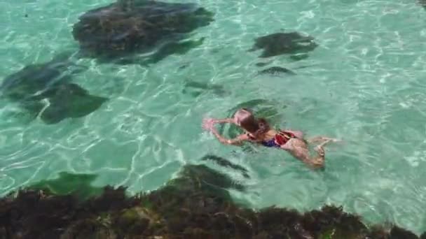 Young adult woman in swimsuit swimming in ocean near reef - Filmagem, Vídeo