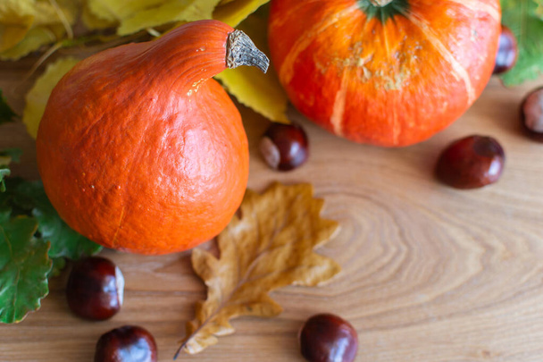 Fondo de otoño con calabazas naranjas
 - Foto, imagen