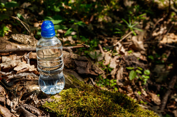 Plastic bottle with fresh drinking water on green forest background - Photo, Image