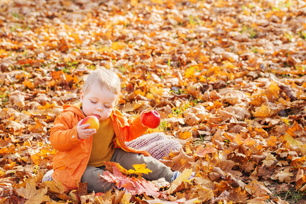 małe dziecko w słonecznym jesiennym parku - Zdjęcie, obraz