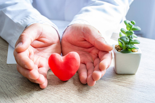 Protection, treatment, prevention and patronage health of heart and cardiovascular system against diseases and pathologies concept photo. Doctor surrounded heart shape with his hands on his desk - Photo, Image