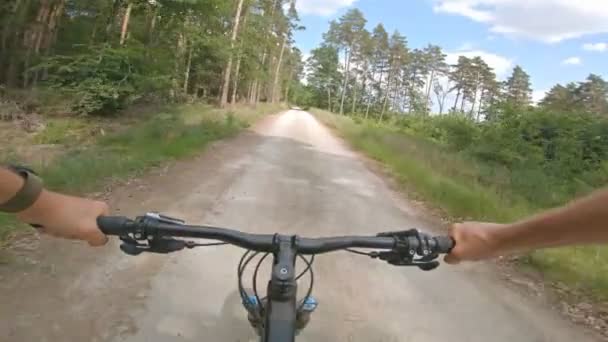 Enduro-Mountainbike fahren auf steinigen Pfaden zwischen grünen Feldern. Sicht aus der Ich-Perspektive. 4k gimbal stabilisiertes Video, gopro hero 7 schwarz. - Filmmaterial, Video