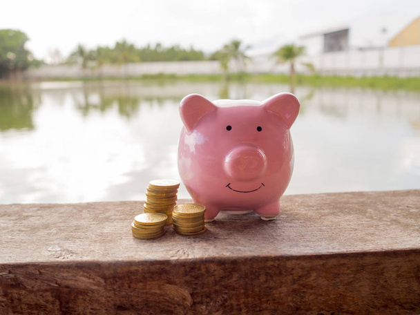 Różowa świnka stojąca na drewnianym stosie ze stosem monet i tłem wody, oszczędzająca pieniądze na przyszły plan i koncepcję funduszu emerytalnego - Zdjęcie, obraz