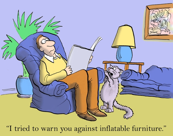 Kissa sanoi, että puhallettavat huonekalut olivat virhe.
 - Valokuva, kuva