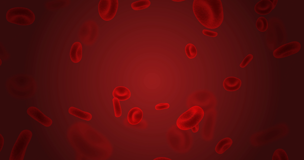 循環器系を流れる赤血球 - 映像、動画