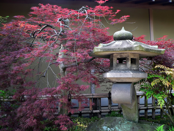 Japanese garden - Photo, Image