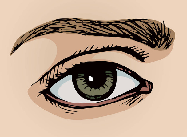 Глаз. Знак векторного рисунка
 - Вектор,изображение