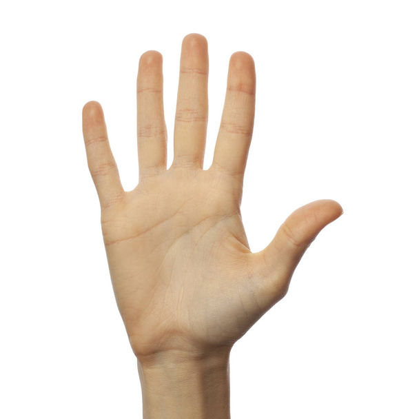 Orthographe doigt numéro 5 en langue des signes américaine sur fond blanc. Concept ASL
 - Photo, image