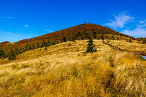 A montanha de outono é coberta com grama amarela alta
  - Foto, Imagem