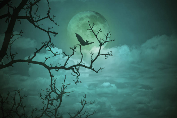 Concepto de Halloween: Bosque espeluznante con luna llena y árboles muertos, fondo de horror oscuro
. - Foto, imagen