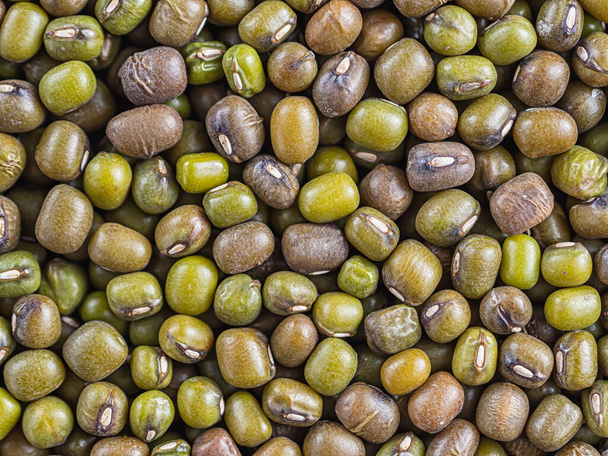 smooth background consisting of beans of mung bean soy beans. - Zdjęcie, obraz