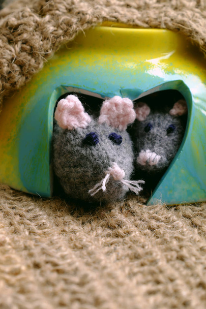 Funny concept for rat year, couple mouse animal warm in mice cav - Photo, Image