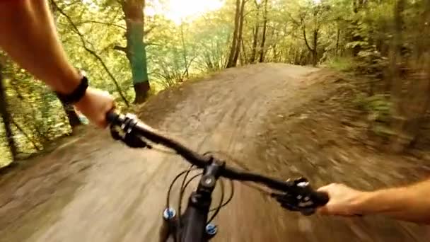 Yavaş Hareket yeşil ormanda bisiklet sürmek, dağ bisikleti ilk kişisel bakış açısı Pov. Ağaçlar arasında yaz gezisi. Gimbal, Gopro Hero5 siyah 120fps ile sabitlendi.. - Video, Çekim