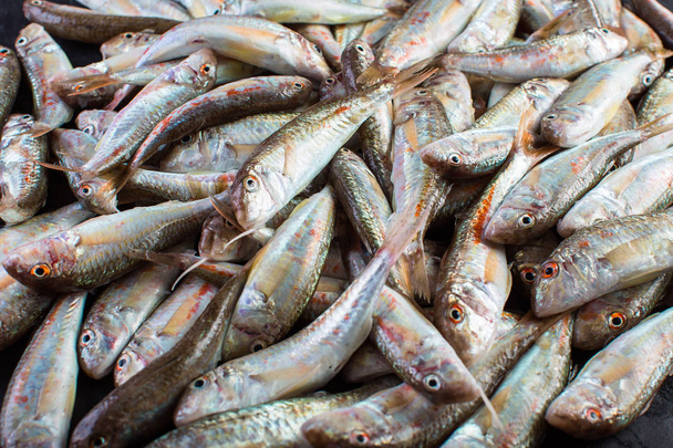 Fresh Catch of Red Mullet. Black Sea Sultanka Fish. - Photo, Image