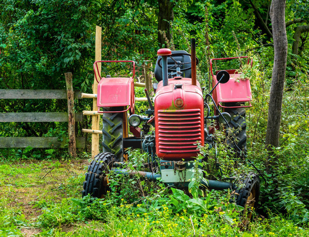 Alter roter Traktor steht auf einem verlassenen Bauernhof im Feld zwischen Unkraut und Gartenblumen - Foto, Bild