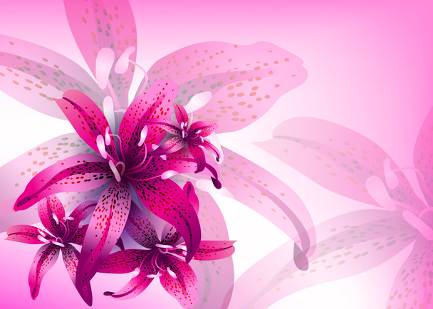 Floral vector achtergrond. Lily - Vector, afbeelding