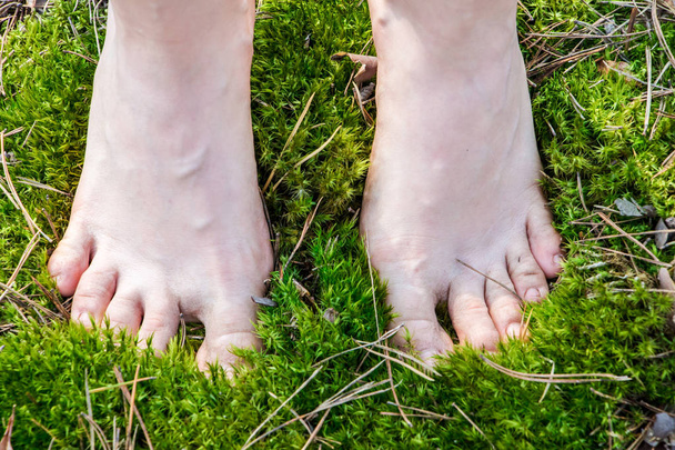chica de pie descalzo pies en el musgo en el sol de la mañana
 - Foto, Imagen