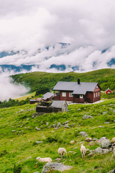 ノルウェーの風景は、典型的なスカンディナヴィアの草の屋根の家と谷の羊の放牧。ノルウェーの牧歌的な風景羊農場。田園風景の農家の台地を山の牧草地で眺め - 写真・画像
