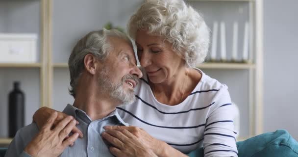 Happy elderly couple embracing bonding looking at camera - Filmati, video