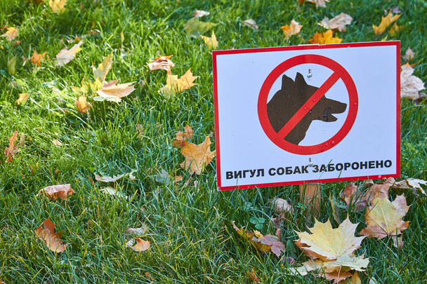 落ち葉のある緑の芝生とウクライナ語で碑文の看板:犬の散歩は禁止されています - 写真・画像