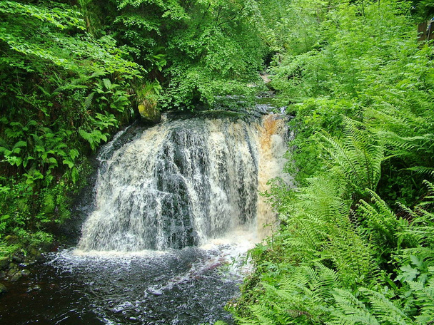 Cachoeira Glenariff na Irlanda do Norte
 - Foto, Imagem