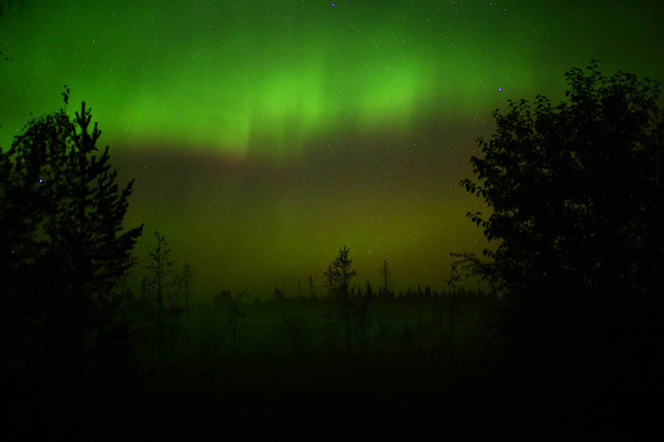 Βόρεια φώτα πάνω από επερχόμενη ομίχλη μέσα στη νύχτα - Φωτογραφία, εικόνα