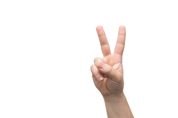 Αρσενικό χέρι απομονωμένο σε λευκό φόντο. Σημάδι νίκης ή ειρήνης. Το νούμερο δύο.. - Φωτογραφία, εικόνα