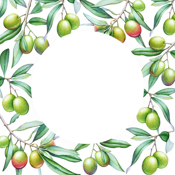 Card template with watercolor olive tree branches with olives and green leaves. - Φωτογραφία, εικόνα