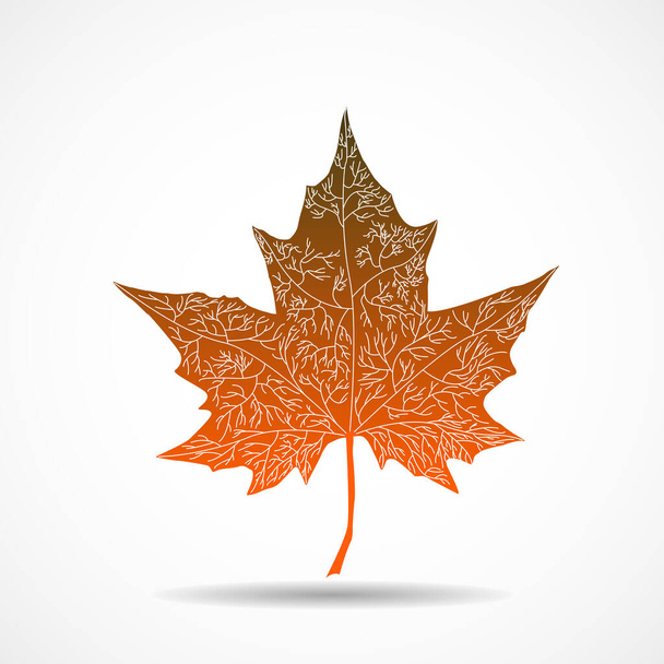 Herbst-Ahornblatt auf weißem Hintergrund, Herbst-Symbol - Vektor, Bild