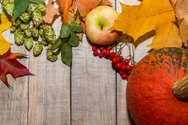 Спелая оранжевая тыква на Хэллоуин. Осенняя рамка из опавших листьев и ягод на светлом деревянном фоне
 - Фото, изображение
