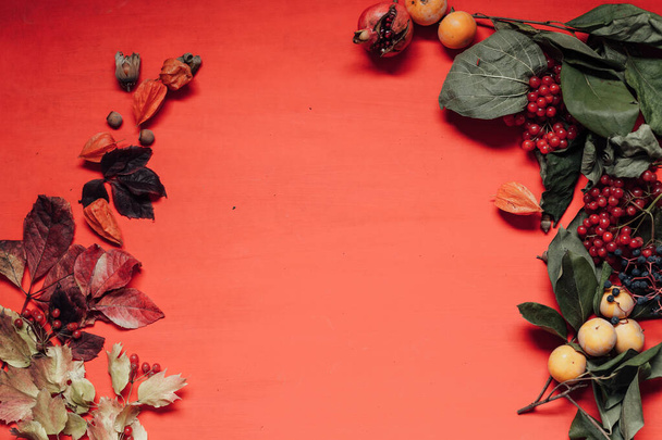 Outono folhas vermelhas e amarelas fruta noz café
 - Foto, Imagem