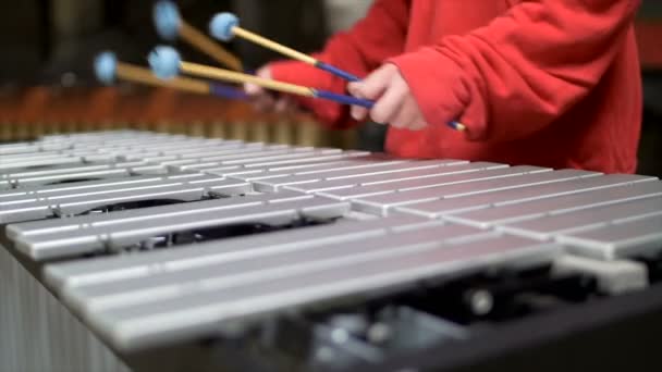 Człowiek gra na wibrafonie w czerwonym stroju - Materiał filmowy, wideo