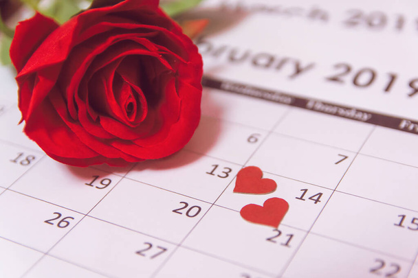 Día de San Valentín. Rosa roja y corazones rojos en la página Calendario Februar
 - Foto, imagen