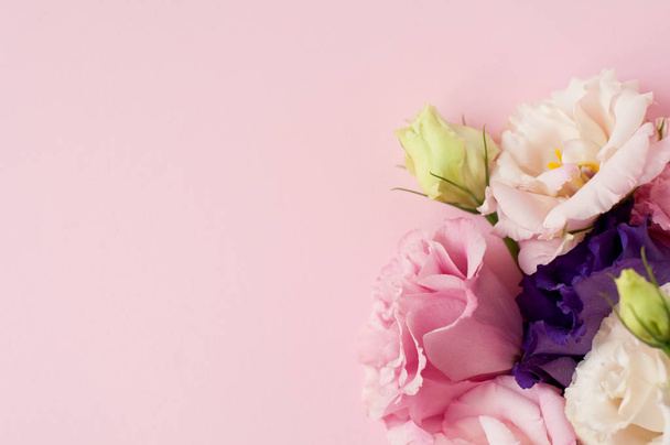 Krásná růžová, fialová a bílá eustoma květina (lisianthus) v  - Fotografie, Obrázek