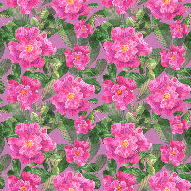 watercolor stylized pink dog roses seamless pattern on pink background - Fotografie, Obrázek