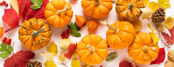 秋のカボチャは、白い背景に秋の葉、ベリー、ナッツと装飾。感謝祭やハロウィーンの休日、収穫の概念。あいさつ用のコピースペースを備えたトップビューフラットレイコンポジション - 写真・画像